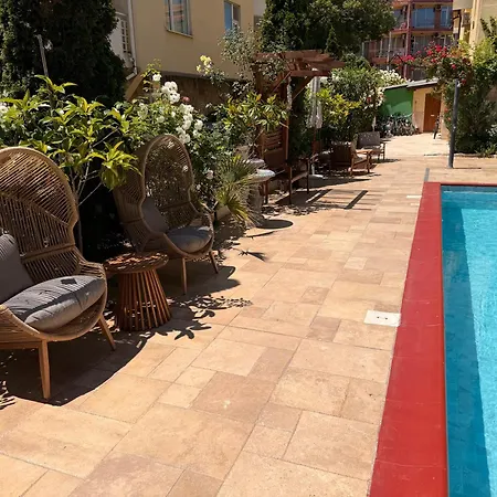 Complex Sands Daire